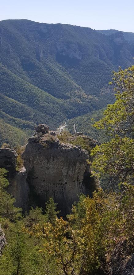 Le Mas Rolland, Piscine Chauffee & Spa - Millau - Gorges Du Tarn Compeyre Esterno foto